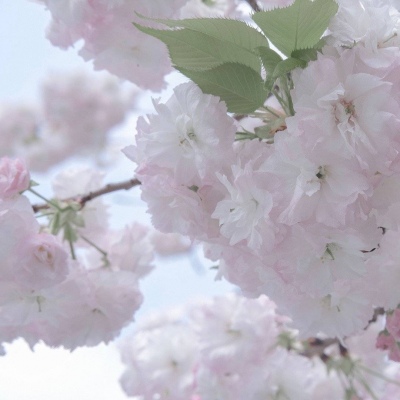 兽设场景透视绘画教程福瑞交流群